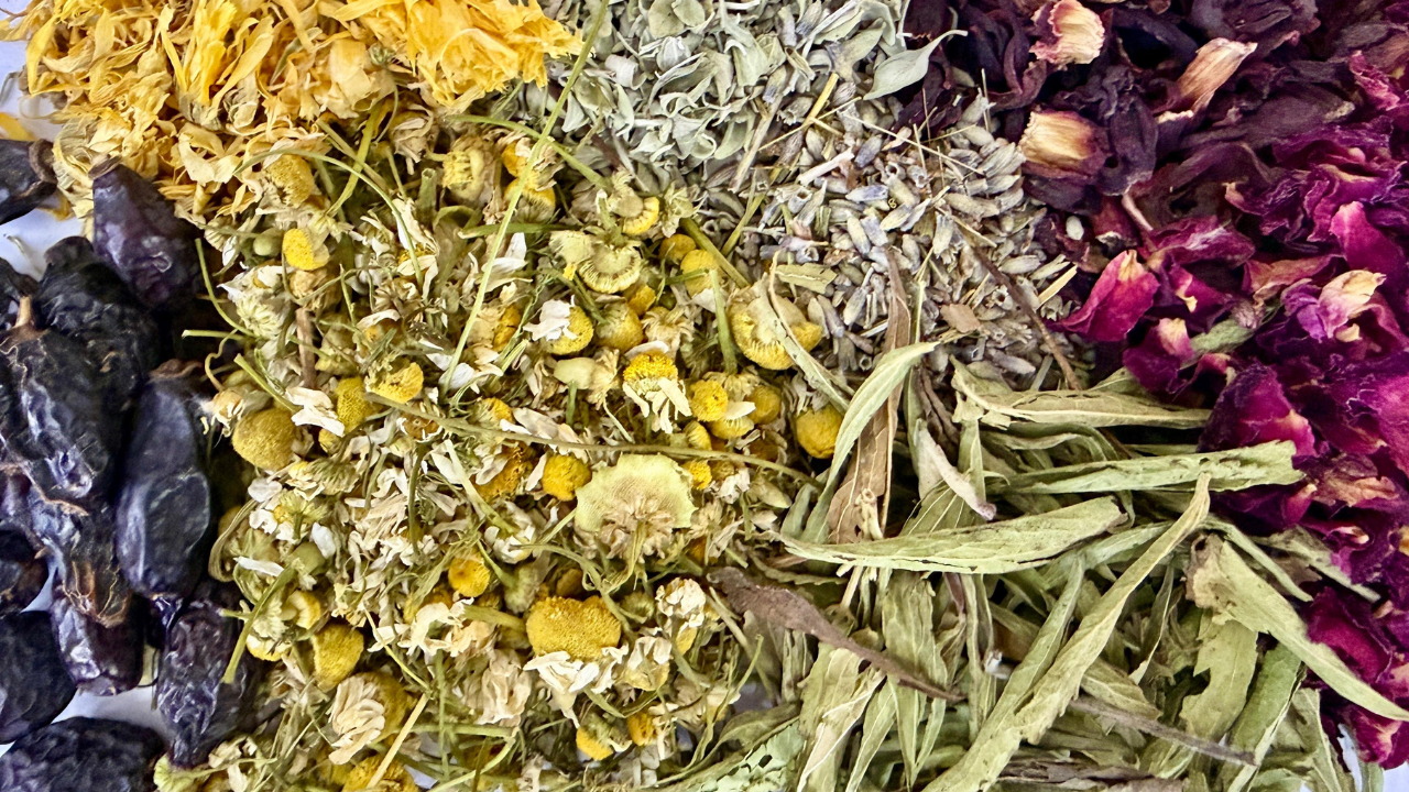 חליטות מוחלטות