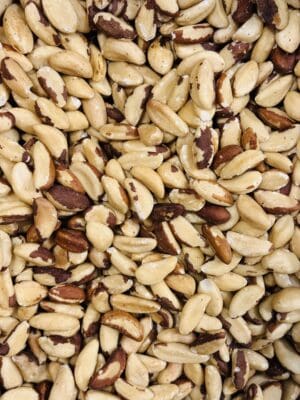 אגוז ברזילאי