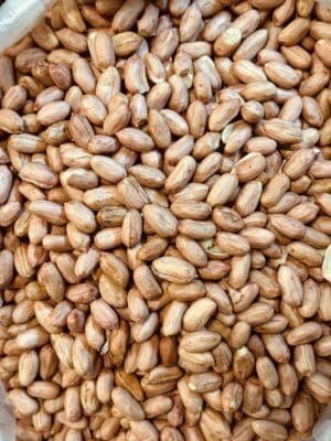 בוטן ישראלי ענק