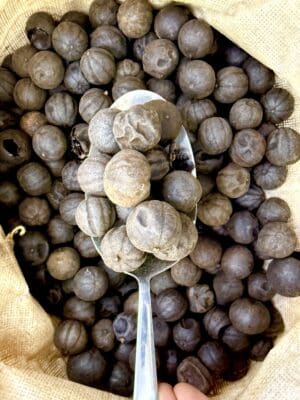 לימון פרסי שחור