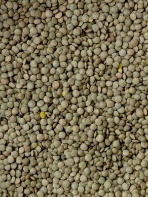 עדשים ירוקות