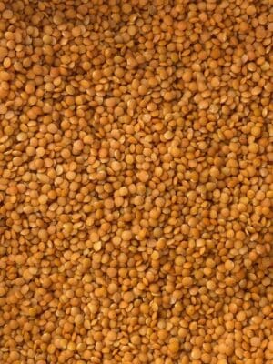 עדשים כתומות