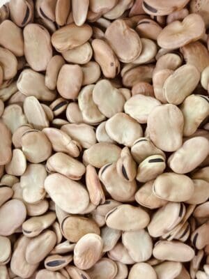 פול ירוק ענק