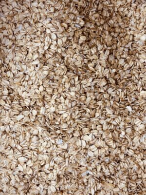 קוואקר שיבולת שועל עבה