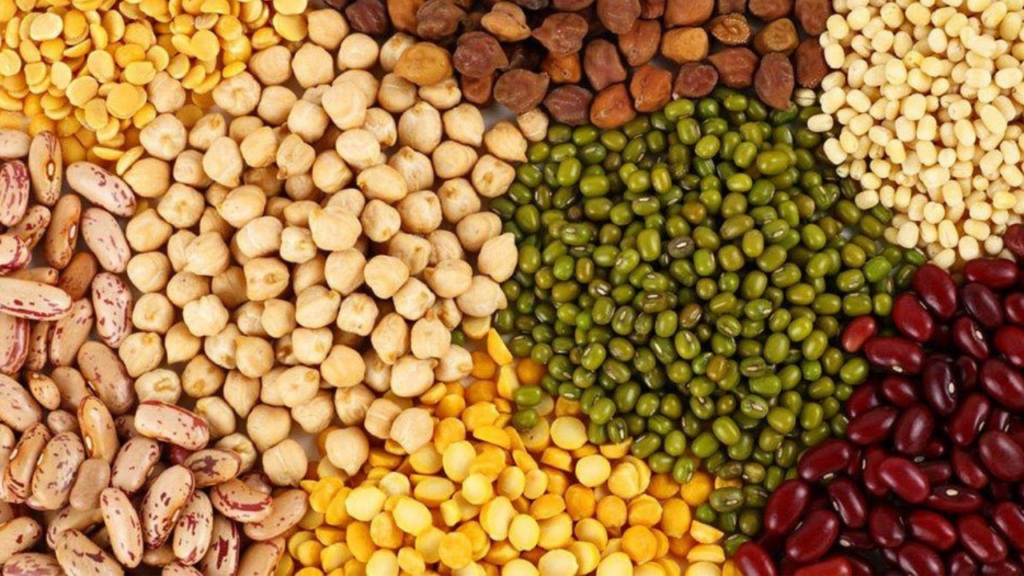 קטניות ודגנים