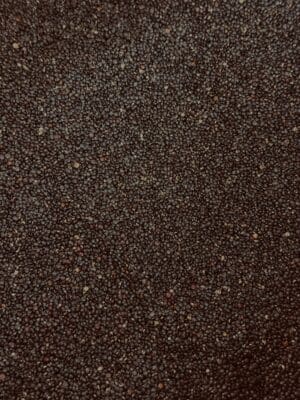 קינואה שחורה