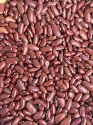 שעועית אדומה