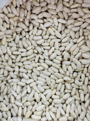 שעועית לבנה