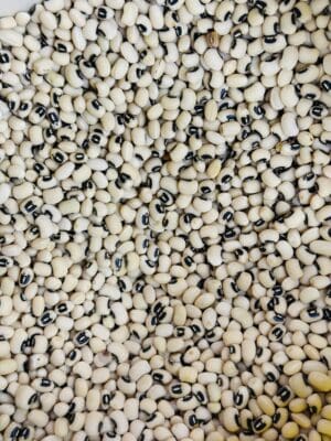 שעועית עין שחורה (לוביה)