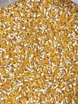 תירס שבור לחמין