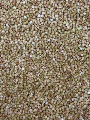 כוסמת ירוקה